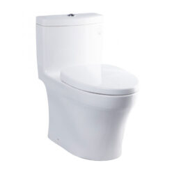Bồn cầu 1 khối TOTO MS889DRT3