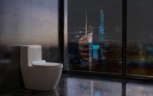 Những lý do bạn cần sắm bồn cầu Viglacera